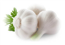 Aglio