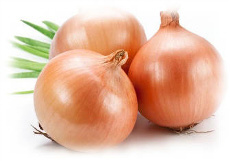 Cipolle